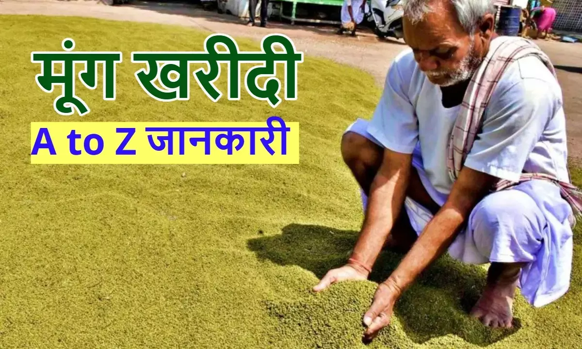 Moong Purchase Madhya Pradesh 2025, MSP Moong Price, Moong Purchase Center, मूंग खरीदी मध्य प्रदेश 2025, MSP मूंग दाम