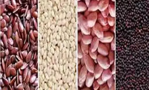 किसानों के लिए खुशखबरी : तिलहन बीज उत्पादन, प्रमाणित बीज वितरण का अनुदान बढ़ा, अब हजार की जगह मिलेंगे 1500 रुपए प्रति क्विंटल
