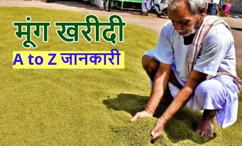 Moong Purchase Madhya Pradesh 2025, MSP Moong Price, Moong Purchase Center, मूंग खरीदी मध्य प्रदेश 2025, MSP मूंग दाम