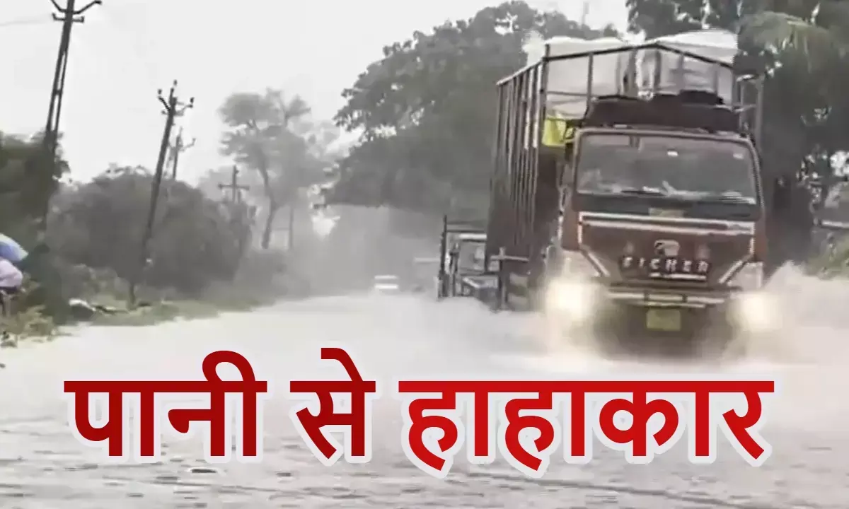 गुजरात में भारी बारिश; हिमाचल में बादल फटने से आफत; आपके प्रदेश में कैसा है मौसम?; जानिए...