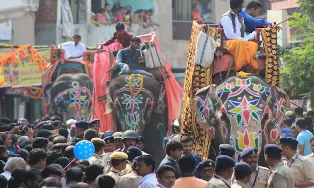 अहमदाबाद में हाथी हुए बेकाबू; मची भगदड़, कैसे किया काबू?...देखें वीडियो