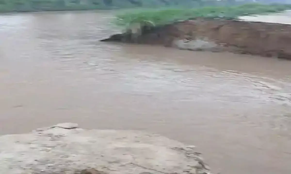 रोहतक में देर रात फसल जलमग्न, किसानों को भारी नुकसान