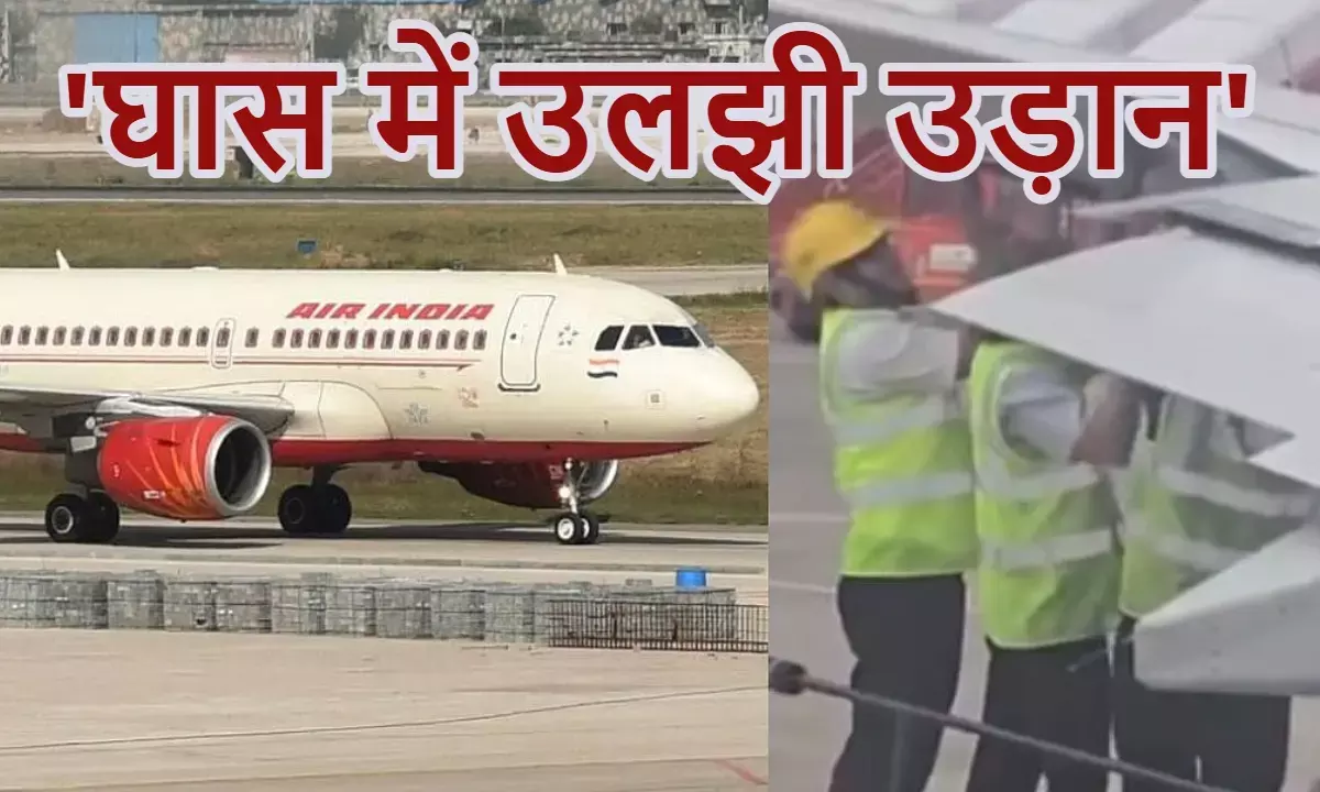 एअर इंडिया विमान में घोंसला, 5 घंटे खड़ी रही फ्लाइट; Video