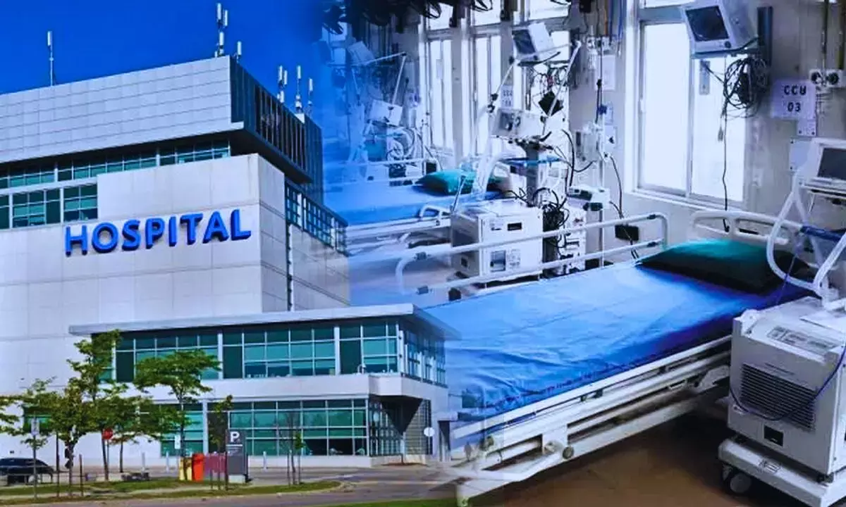 Delhis hospitals will operate on PPP model