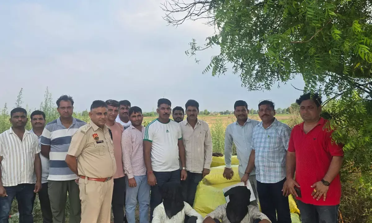 खेत में दबाकर रखा 80 लाख का 522 किलो गांजा बरामद, ओडिशा से लेकर आए दो तस्कर गिरफ्तार