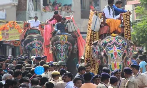 अहमदाबाद में हाथी हुए बेकाबू; मची भगदड़, कैसे किया काबू?...देखें वीडियो