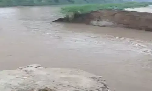 रोहतक में देर रात फसल जलमग्न, किसानों को भारी नुकसान