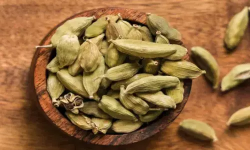 Health Tips: हरी इलायची खाने के चमत्कारी फायदे, जानिए किस समय पर करें सेवन