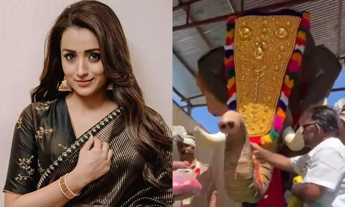 त्रिशा कृष्णन ने मंदिरों को दिया यांत्रिक हाथी ‘गज’ और शाकाहारी भोज, देखें वायरल वीडियो