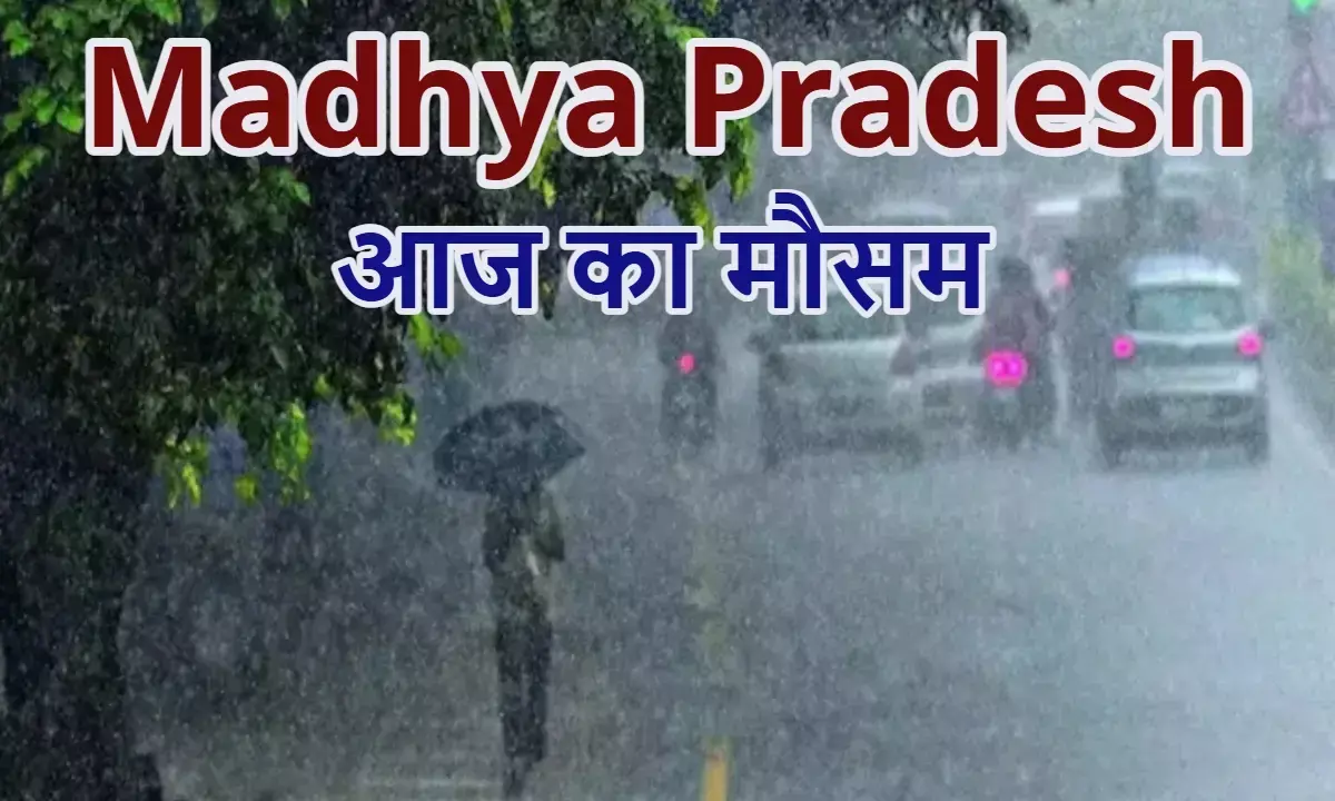 निवाड़ी, टीकमगढ़ सहित 7 जिलों में भारी बारिश का अलर्ट; अगले 5 दिन झमाझम बरसेगा पानी
