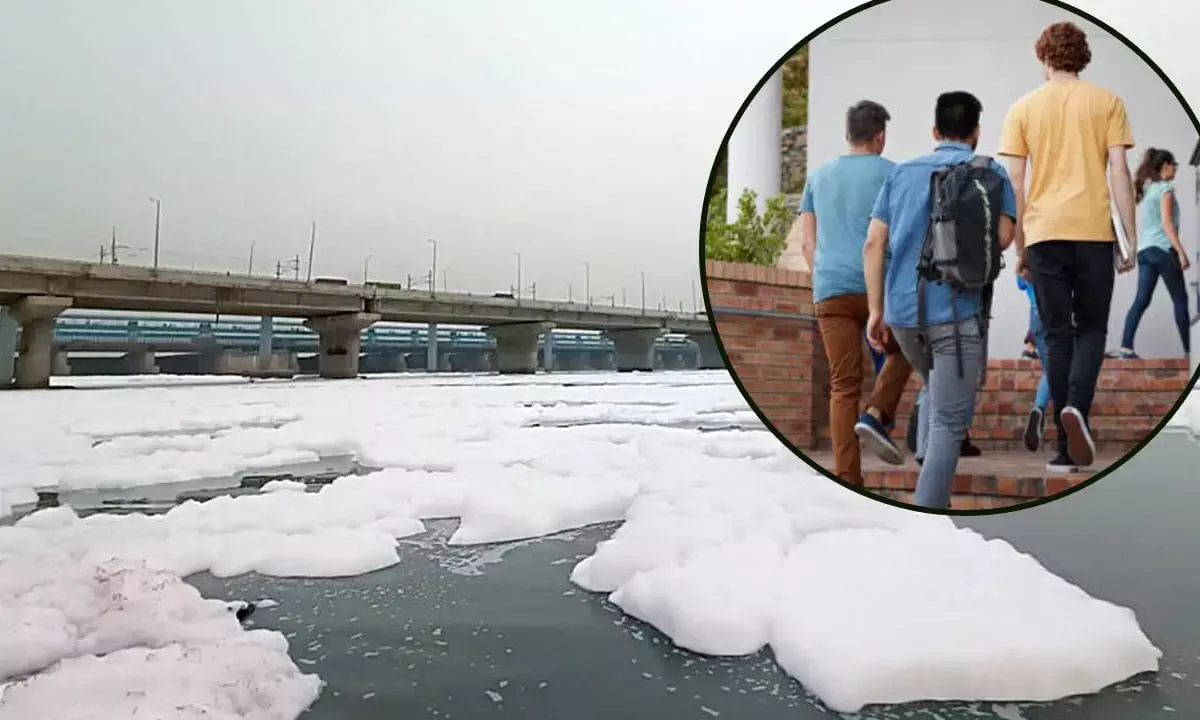 yamuna river pollution news