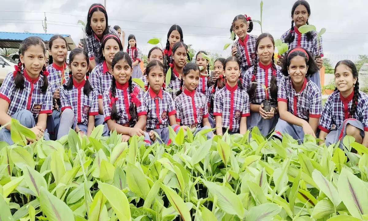खुशिका ने पेश की मिसाल : गर्मी की छुट्टियों में पौधों की तैयार की नर्सरी, अब चला रही एक पेड़ माँ के नाम अभियान