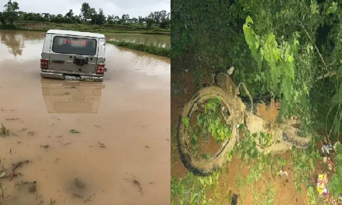 Bolero entered the field in an accident