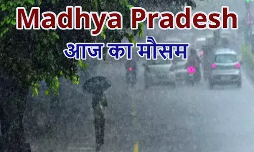निवाड़ी, टीकमगढ़ सहित 7 जिलों में भारी बारिश का अलर्ट; अगले 5 दिन झमाझम बरसेगा पानी