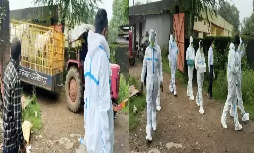 दो घोड़ों में ग्लैण्डर्स बीमारी : जहर के इंजेक्शन से दी गई इच्छा मृत्यु, मनुष्यों के लिए भी खतरनाक