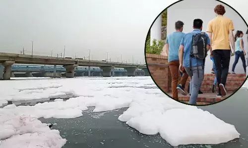 yamuna river pollution news