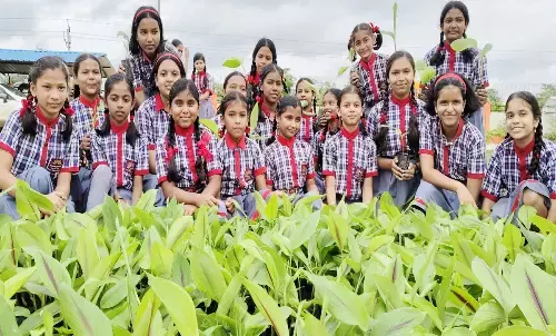 खुशिका ने पेश की मिसाल : गर्मी की छुट्टियों में पौधों की तैयार की नर्सरी, अब चला रही एक पेड़ माँ के नाम अभियान