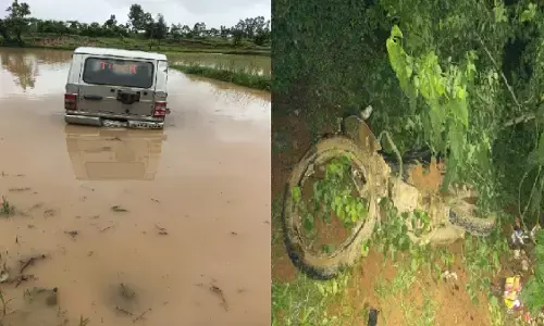 Bolero entered the field in an accident