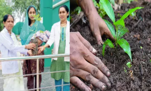 स्वास्थ्य विभाग की नई पहल : शुरू होगी ग्रीन पालना योजना, प्रसूता को दिए जाएंगे 5 फलदार पौधे, बच्चे की तरह ही देखभाल करने की होगी अपील