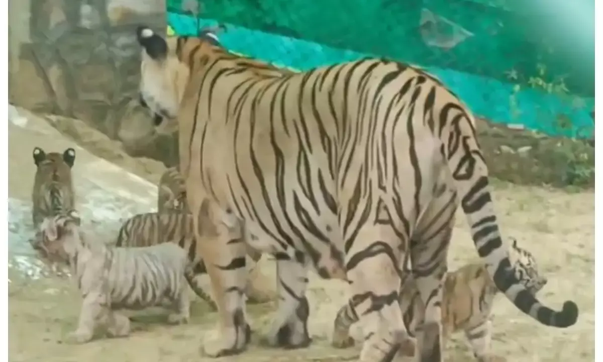 Nahargarh Biological Park