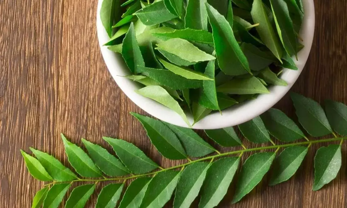 curry leaves benefits