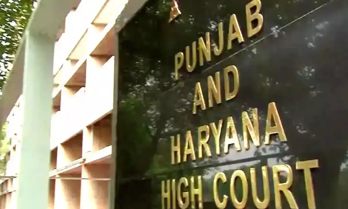 punjab and haryana high court