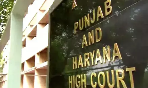 punjab and haryana high court