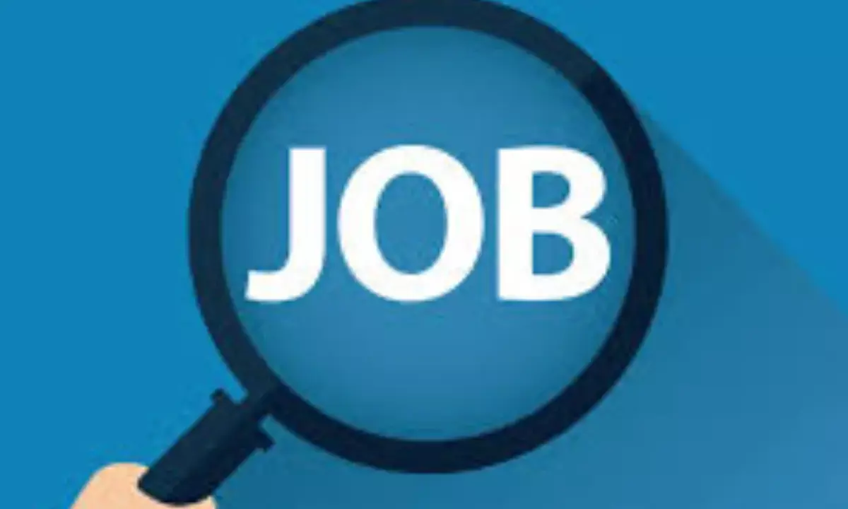 असिस्टेंट पब्लिक प्रोसिक्यूटर के 134 पदों पर निकली भर्ती, ऐसे करें आवेदन असिस्टेंट पब्लिक प्रोसिक्यूटर के 134 पदों पर निकली भर्ती, ऐसे करें आवेदन