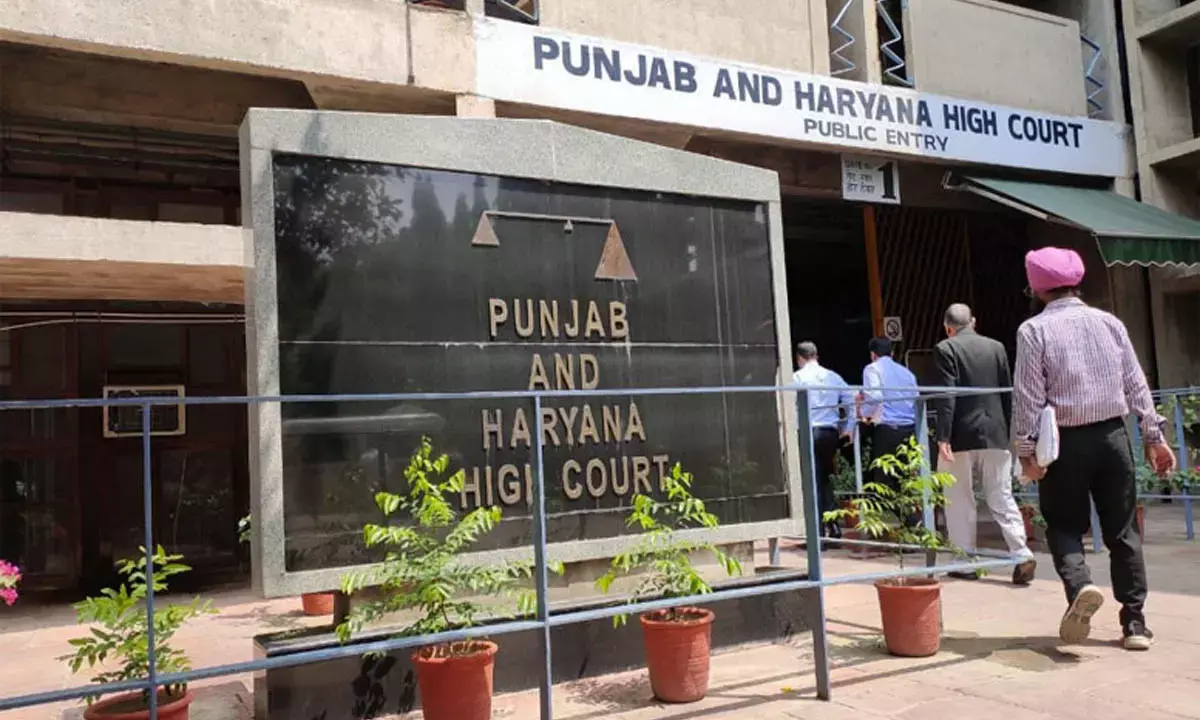 Historic decision of Punjab-Haryana High Court