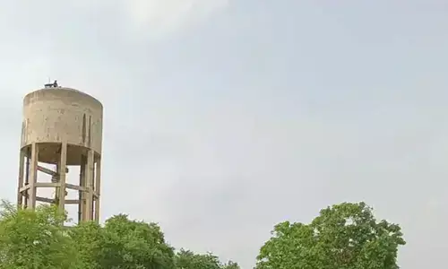 public health employee climbed water tank in Mandi Kilianwali area of ​​Sirsa.