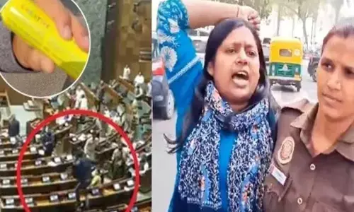 Neelam Azad, accused of challenging the security of Parliament, got bail.