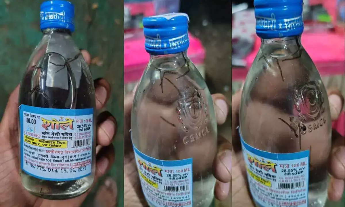 मदिरा प्रेमियों के उड़े होश :  देशी शराब की बोतल शोले में निकली छिपकली और मकड़ी