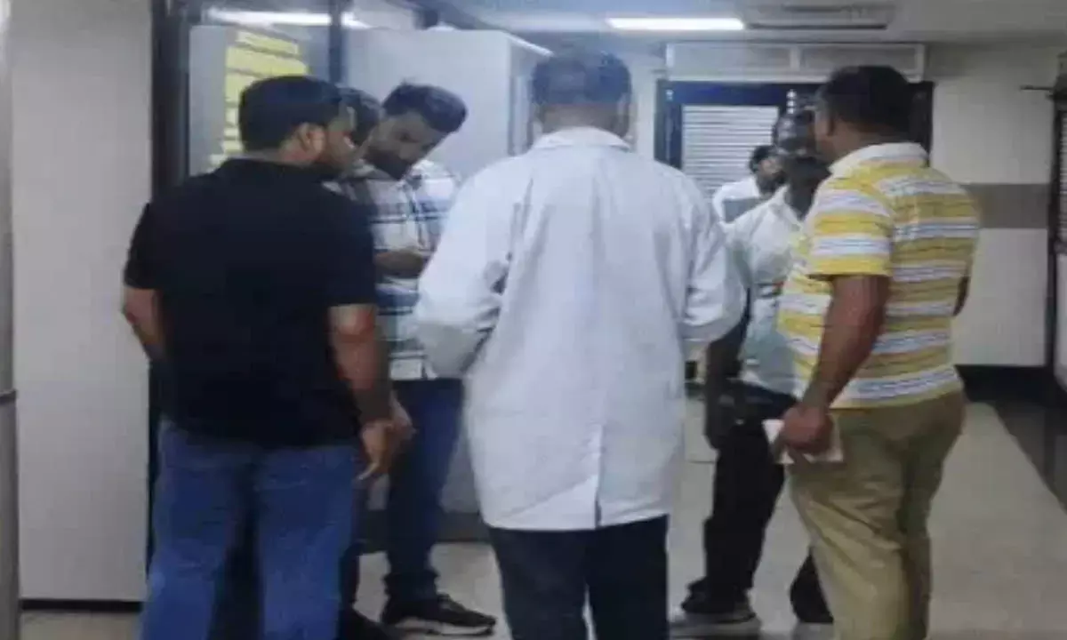 Foetal sex determination.