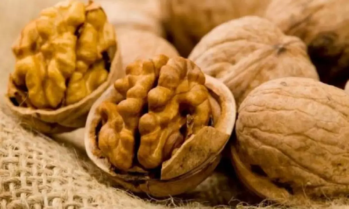 walnut health benefits