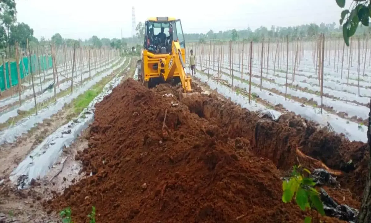 वनभूमि कब्जामुक्त : दो गांवों के बीच सीमा विवाद सुलझाया, अवैध खेती को खोदकर बना दी पानी भरने की जगह