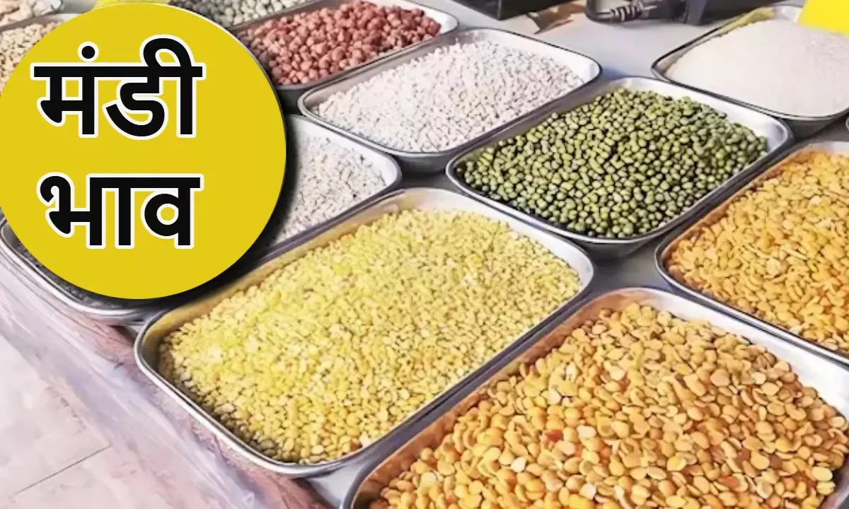इंदौर मंडी भाव 3 जुलाई 2025, Mandi Bhav Indore Today, Indore Soyabean Prices, Gold Silver Rate Indore 2025