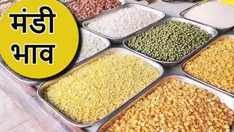 इंदौर मंडी भाव 3 जुलाई 2025, Mandi Bhav Indore Today, Indore Soyabean Prices, Gold Silver Rate Indore 2025