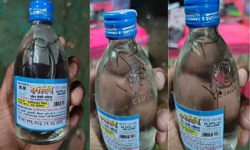 मदिरा प्रेमियों के उड़े होश :  देशी शराब की बोतल शोले में निकली छिपकली और मकड़ी