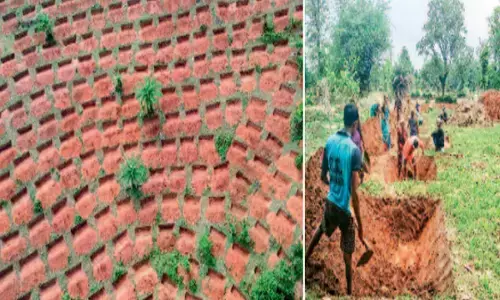 मोर गांव, मोर पानी महाभियान : भूजल स्तर को बढ़ाने के लिए पहाड़ी से घाटी तक की नीति पर हो रहा काम