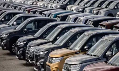 car sales by indian companies in june