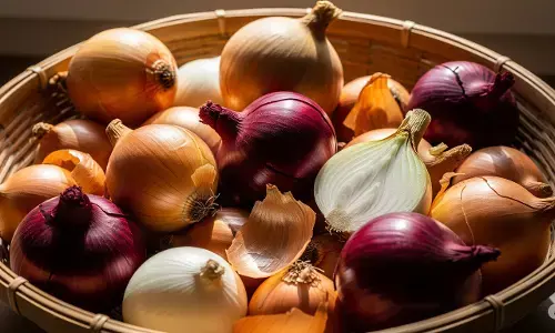 onion storage tips in monsoon