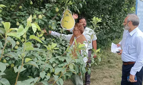 haryana agriculture new techniques