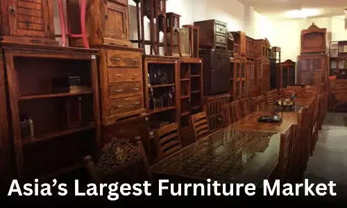 Asias Largest Furniture Market in Delhi
