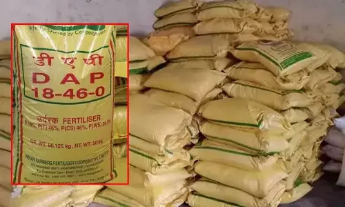 प्रदेश सरकार ने डीएपी की कमी पूरा करने पुख्ता वैकल्पिक व्यवस्था की
