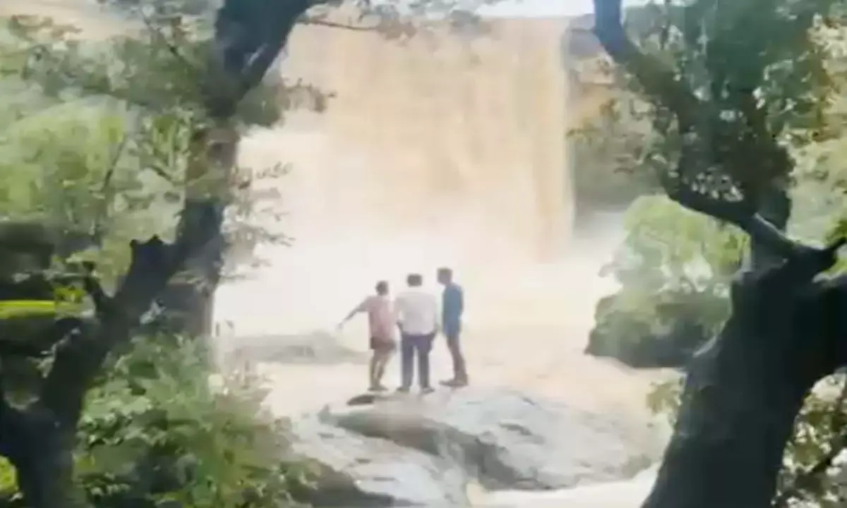People standing near waterfall
