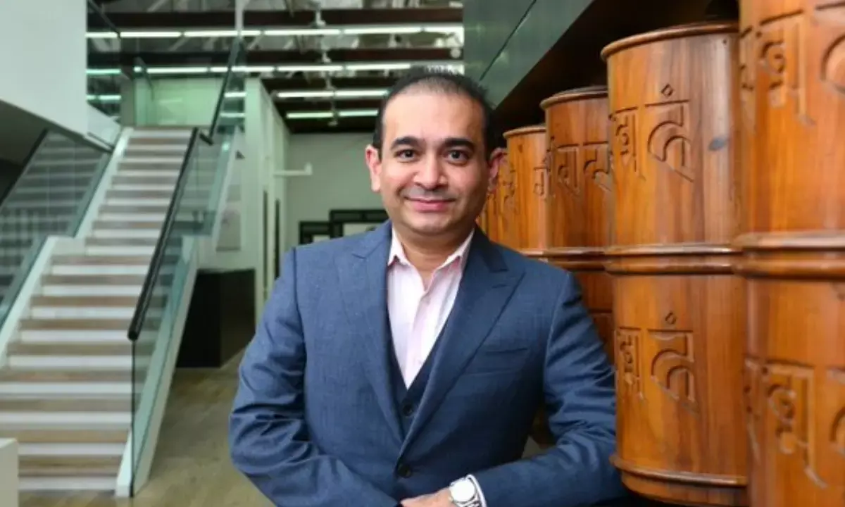 नेहल मोदी गिरफ्तारी, नीरव मोदी PNB घोटाला, नेहल मोदी अमेरिका, PNB scam latest update, nehal modi extradition