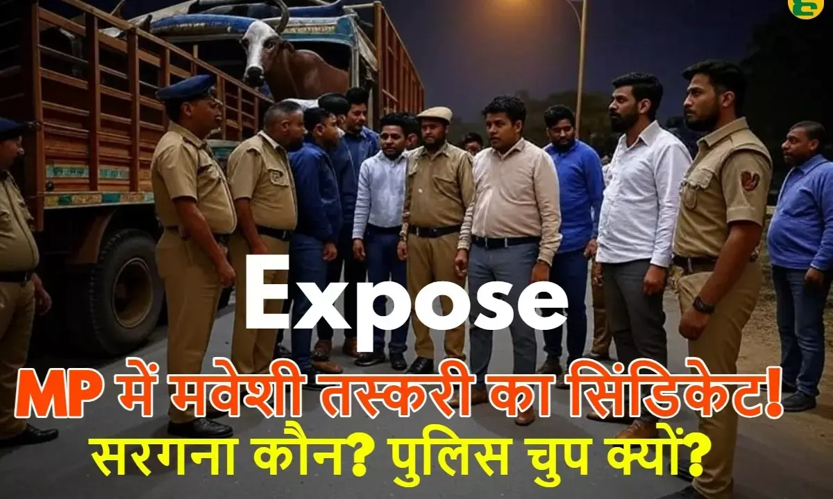 cattle smuggling in MP