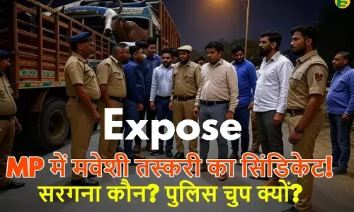 cattle smuggling in MP