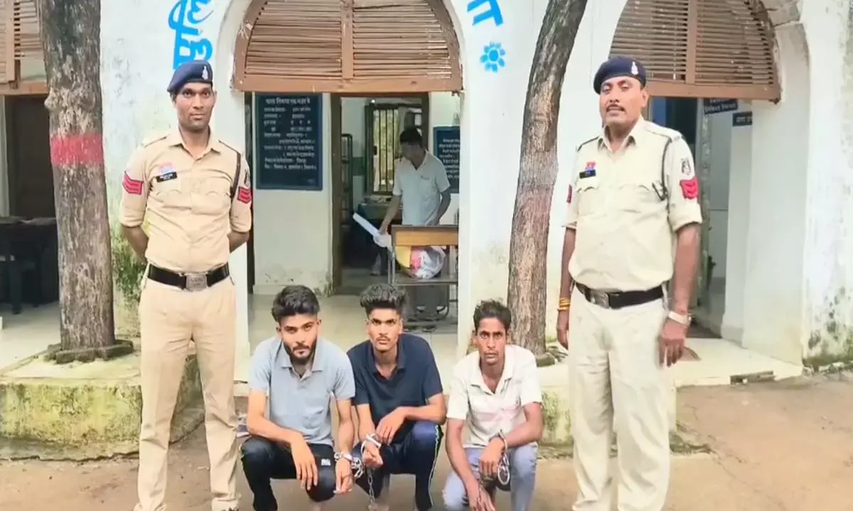 Three accused in police custody