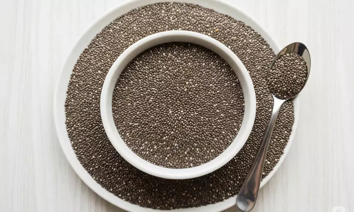 chia seeds health benefits in hindi